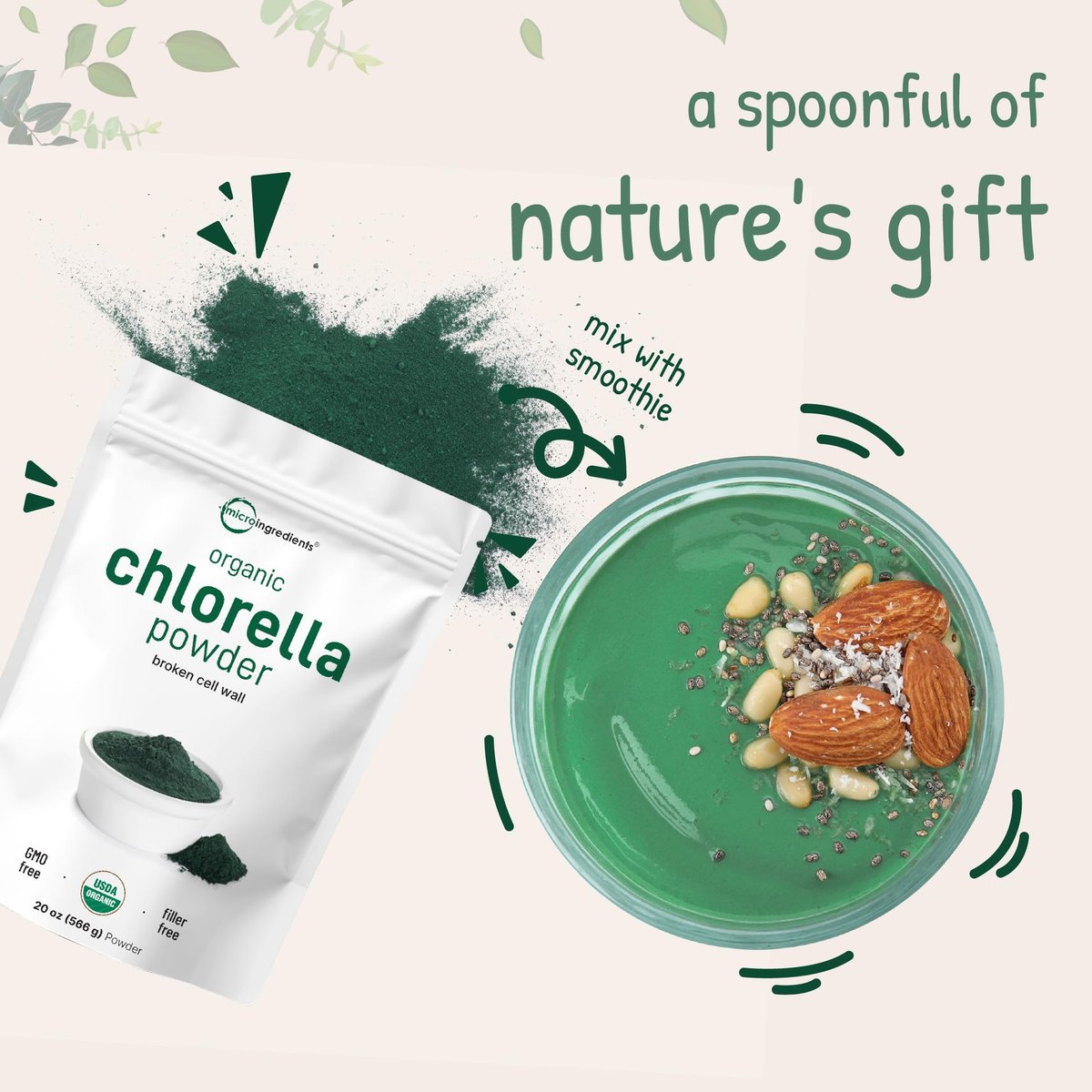 Micro Ingredients Bio Chlorella Pulver, 567 g | Aufgebrochene Zellwände für vollständige Absorption | Rohes Superfood, reich an Protein & Vitaminen | Non-GMO, Vegan, Nicht bestrahlt
