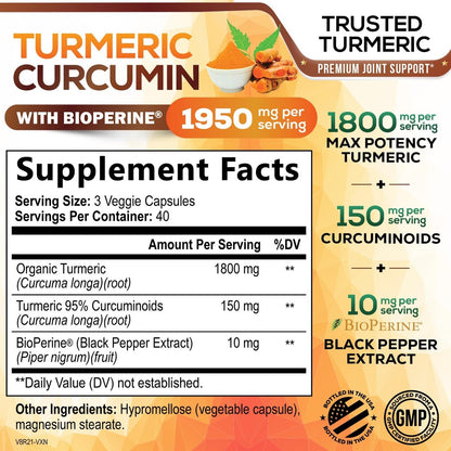 Turmeric Curcumin Komplex – 95% Curcuminoide mit Bio-Turmeric & BioPerine Schwarzer Pfeffer für beste Absorption – Tägliche Gelenk- & Immununterstützung, Vegan, Nicht-GVO, Abgefüllt in den USA – 120 Kapseln