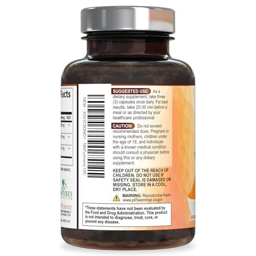Turmeric Curcumin Komplex – 95% Curcuminoide mit Bio-Turmeric & BioPerine Schwarzer Pfeffer für beste Absorption – Tägliche Gelenk- & Immununterstützung, Vegan, Nicht-GVO, Abgefüllt in den USA – 120 Kapseln