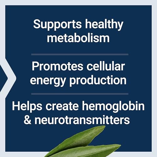 Life Extension Pantothensäure 500 mg – Vitamin B5 für gesunden Stoffwechsel & mitochondriale Energieproduktion, glutenfrei, nicht-GVO, vegetarisch, 100 Kapseln