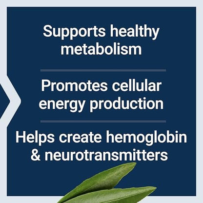 Life Extension Pantothensäure 500 mg – Vitamin B5 für gesunden Stoffwechsel & mitochondriale Energieproduktion, glutenfrei, nicht-GVO, vegetarisch, 100 Kapseln