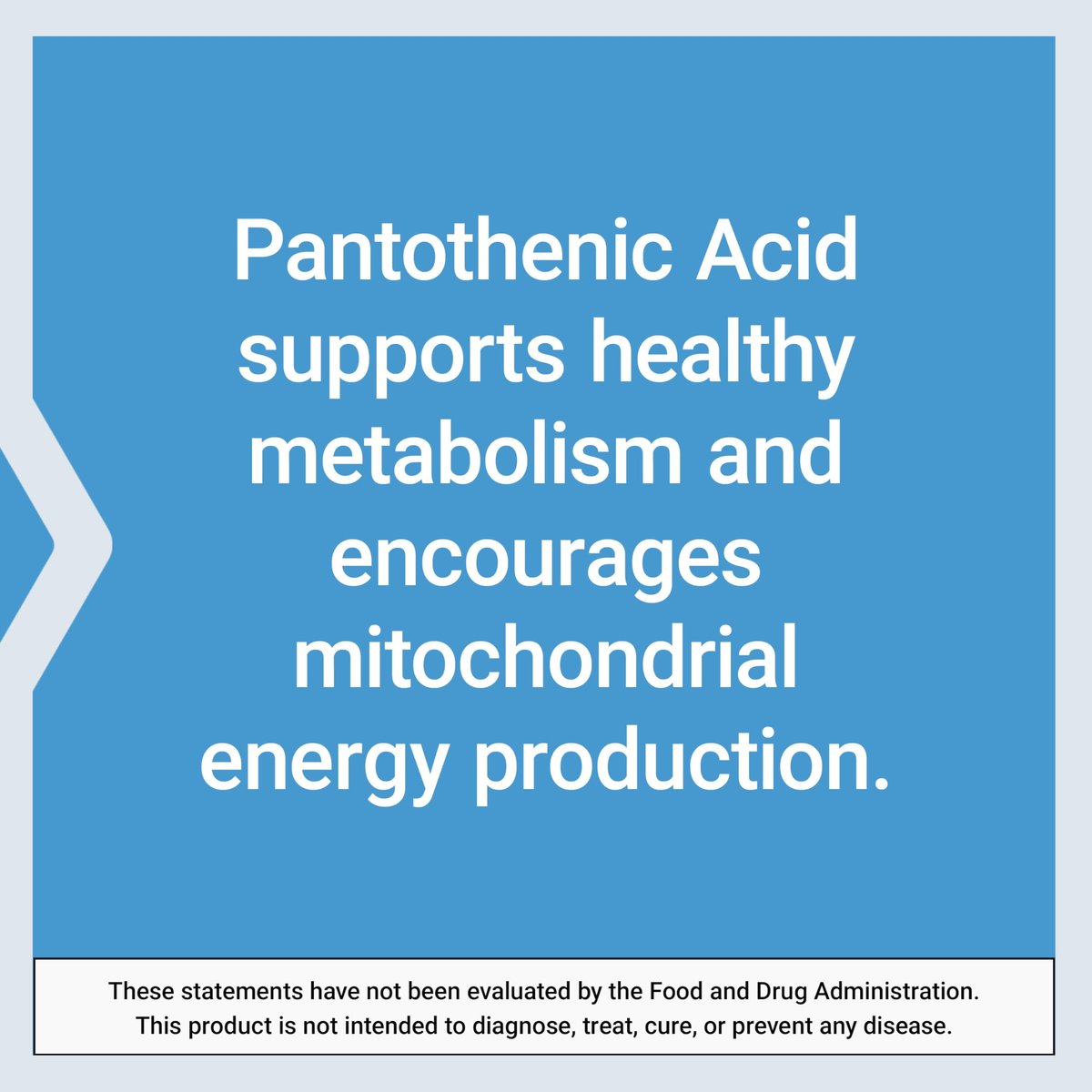 Life Extension Pantothensäure 500 mg – Vitamin B5 für gesunden Stoffwechsel & mitochondriale Energieproduktion, glutenfrei, nicht-GVO, vegetarisch, 100 Kapseln
