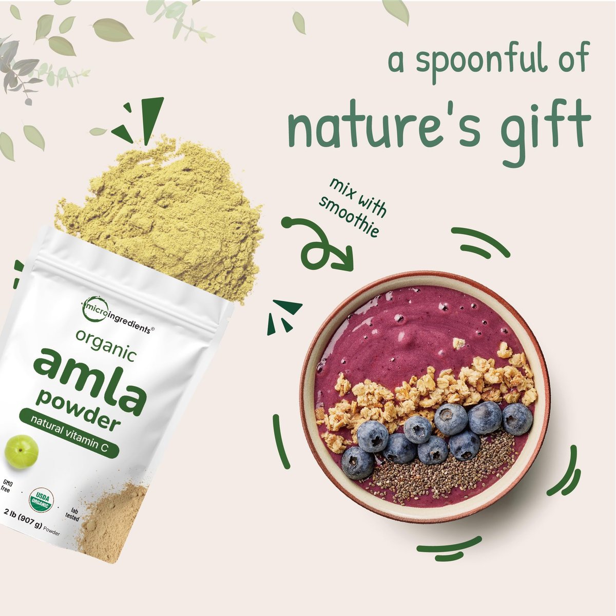 Micro Ingredients Bio Amla-Pulver (Amalaki) | 907g, Indische Stachelbeere | Reich an Vitamin C, Antioxidantien, Unterstützt Immun-, Verdauungs- & Hautgesundheit, Nicht-GVO, Vegan & Keto-freundlich