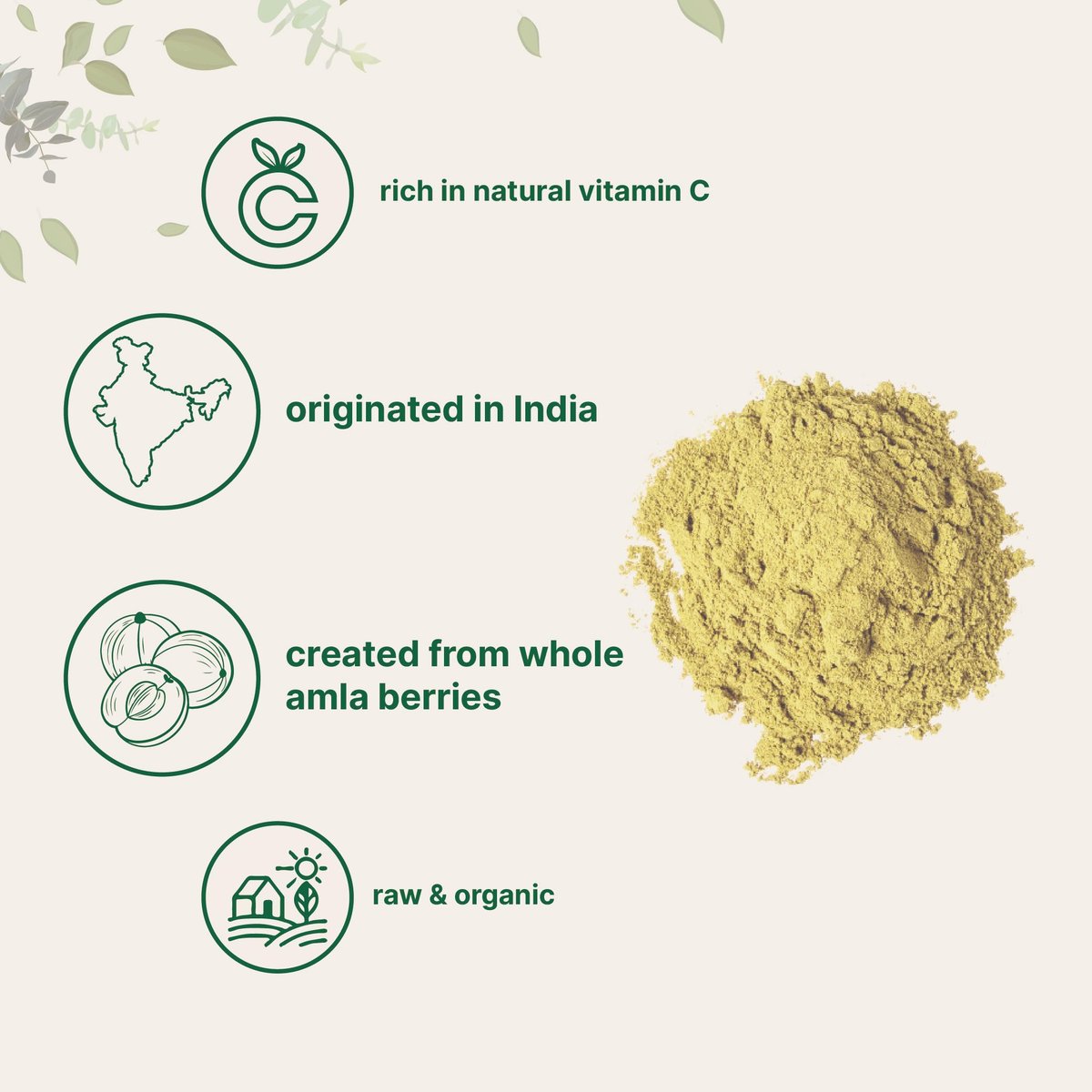 Micro Ingredients Bio Amla-Pulver (Amalaki) | 907g, Indische Stachelbeere | Reich an Vitamin C, Antioxidantien, Unterstützt Immun-, Verdauungs- & Hautgesundheit, Nicht-GVO, Vegan & Keto-freundlich