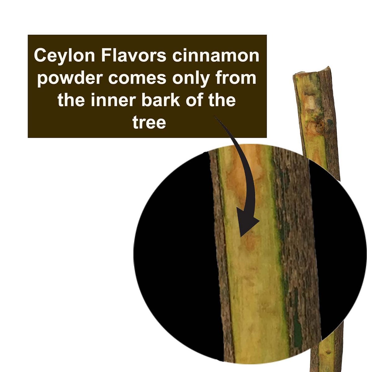 Ceylon Flavors Bio Ceylon Zimt Pulver, Premium Special Grade, Nicht GVO, Geerntet von einer USDA-zertifizierten Bio-Farm in Sri Lanka (100 g)