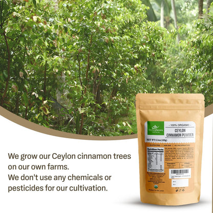 Ceylon Flavors Bio Ceylon Zimt Pulver, Premium Special Grade, Nicht GVO, Geerntet von einer USDA-zertifizierten Bio-Farm in Sri Lanka (100 g)