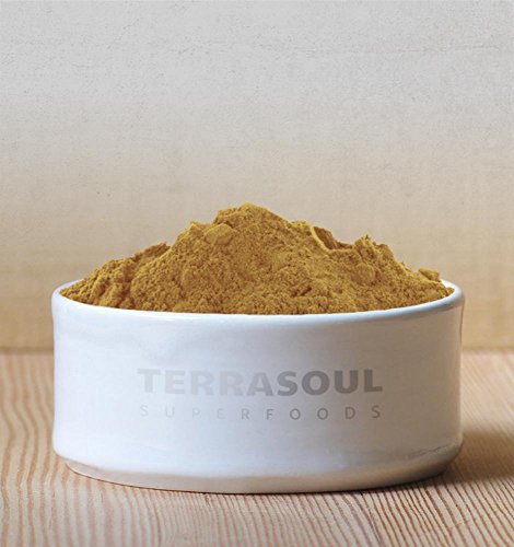 Terrasoul Superfoods Bio Löwenmähnenpilz Pulver (4:1 Extrakt), 155 g