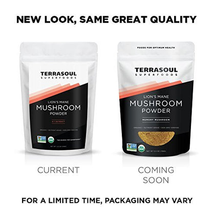 Terrasoul Superfoods Bio Löwenmähnenpilz Pulver (4:1 Extrakt), 155 g