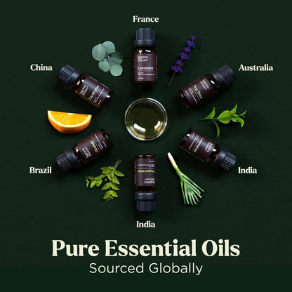 Lagunamoon Ätherische Öle Set – 6 Öle für Diffuser, Haushalt, Kerzenherstellung, Duft, Luftbefeuchter, Geschenke – Pfefferminze, Teebaum, Lavendel, Eukalyptus, Orange (10 ml)