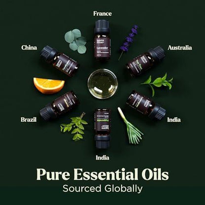 Lagunamoon Ätherische Öle Set – 6 Öle für Diffuser, Haushalt, Kerzenherstellung, Duft, Luftbefeuchter, Geschenke – Pfefferminze, Teebaum, Lavendel, Eukalyptus, Orange (10 ml)