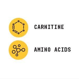 BEYOND RAW L-Carnitin Pulver – Treibstoff für das Training und Unterstützung der Regeneration, 30 Portionen