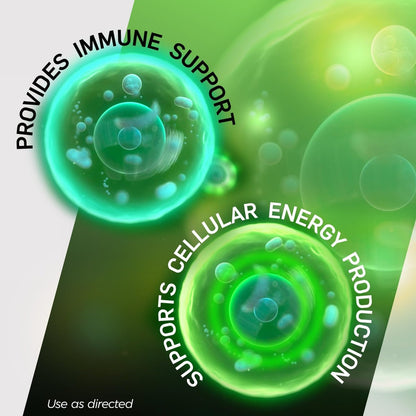 Shot B Multivitamin-Komplex, B-Energy, Vitamin-B-Komplex mit Antioxidantien-Unterstützung, B-Komplex-Vitamine mit A, C, D, E & Folsäure für zelluläre Energie & Immunsystem – 6 wichtige B-Vitamine, 60 Kapseln