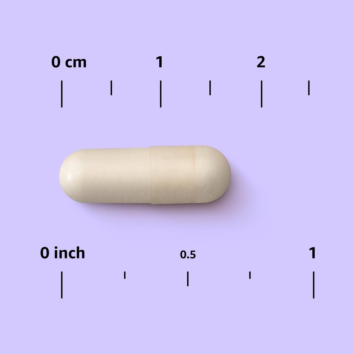 Eisen 18mg Kapseln – Unterstützt die Produktion roter Blutkörperchen, vegan, 195 Stück, 6-Monatsvorrat