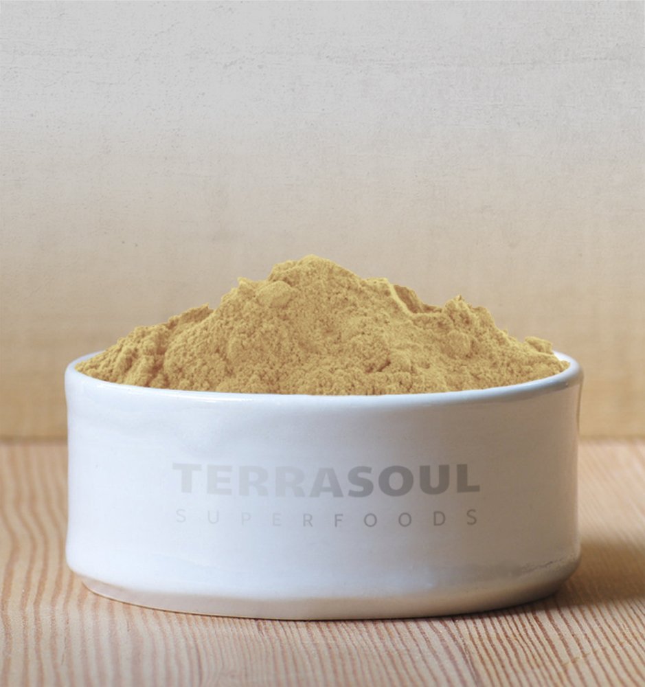 Terrasoul Superfoods Bio Amla-Pulver (Amalaki), 454 g – Reich an Antioxidantien und Vitamin C | Unterstützt das Immunsystem