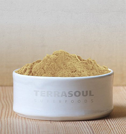 Terrasoul Superfoods Bio Amla-Pulver (Amalaki), 454 g – Reich an Antioxidantien und Vitamin C | Unterstützt das Immunsystem