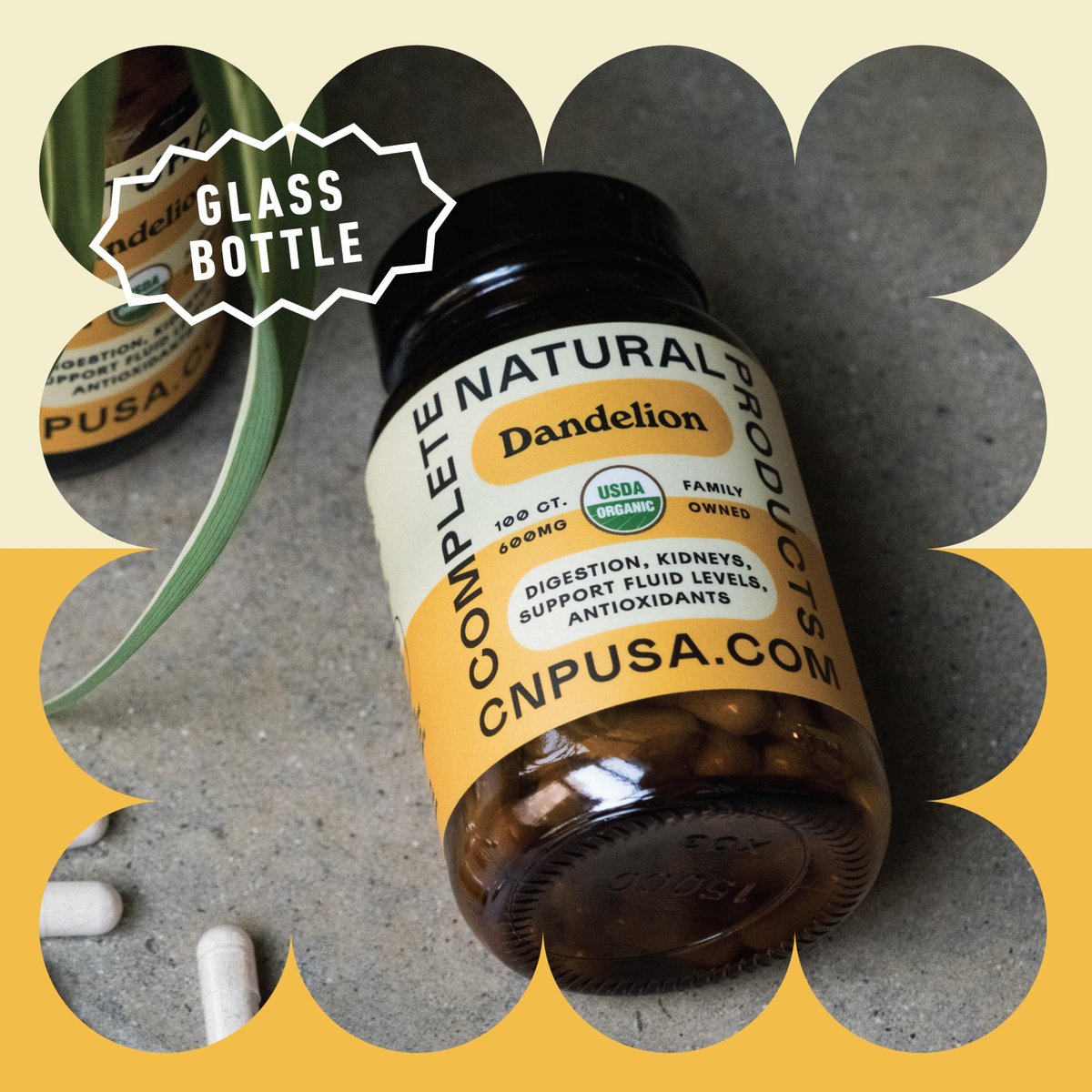 Bio Löwenzahnwurzel Kapseln 600mg – Löwenzahn Ergänzung für Leberreinigung und Verdauungsunterstützung, Vegan, Non-GMO, Glutenfrei, Hergestellt in USA