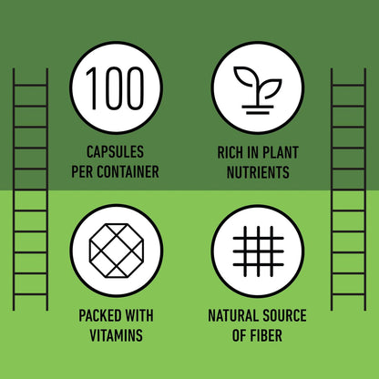 Complete Natural Products Reines Bio-Alfalfa-Blattpulver - 100 Kapseln - 450 mg reines, getrocknetes Bio-Alfalfa-Blattpulver in pflanzlichen Kapseln
