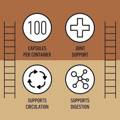Bio Kurkuma Kapseln 600mg – Reines Curcumin Wurzelpulver, Pflanzliche Nahrungsergänzung für Leber- und Gallenblasenunterstützung, Natürliches Kräuter-Wellnessmittel