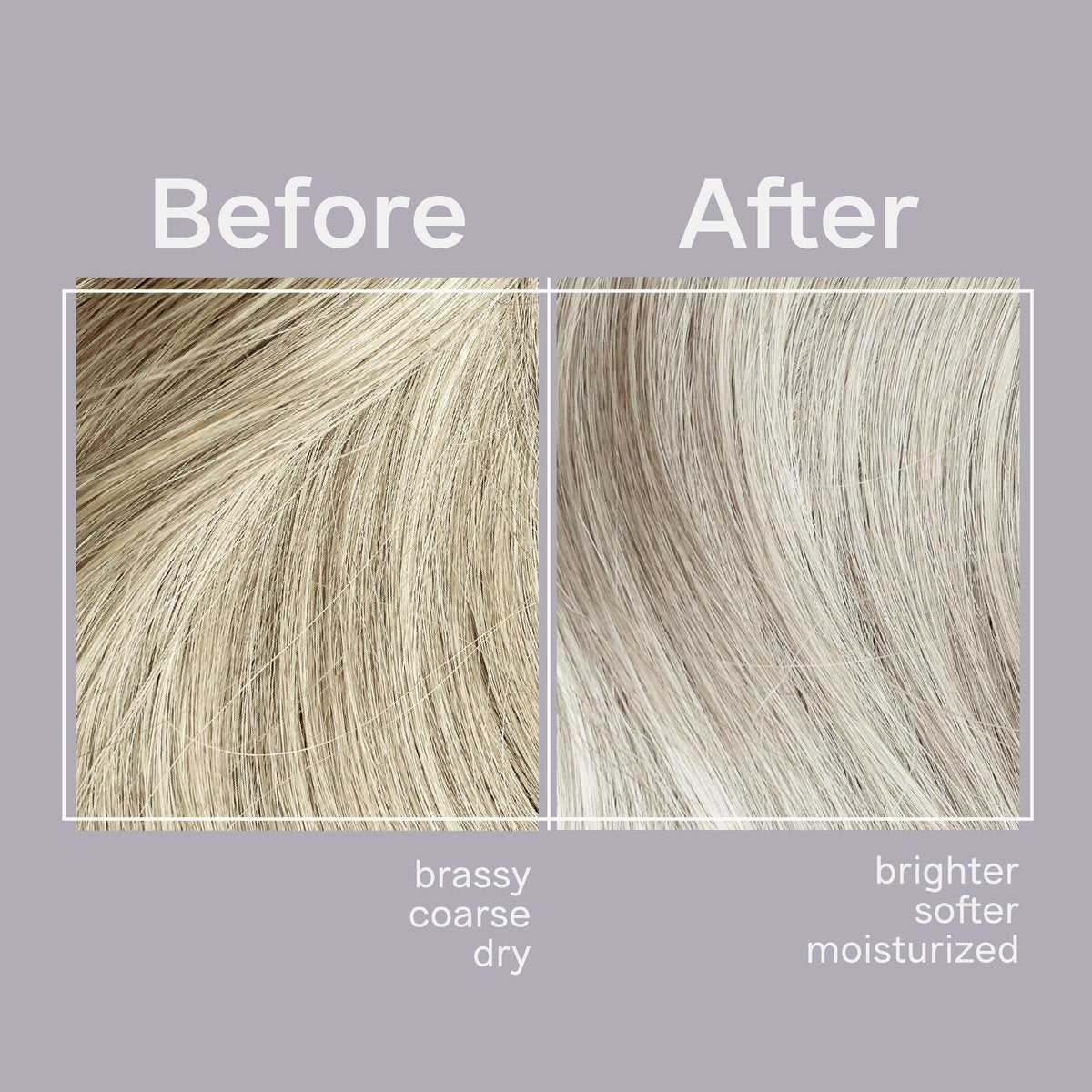 Jhirmack Silver Brightening Purple Shampoo und Conditioner Set für silbernes, graues und blondes Haar - 2x 355 ml