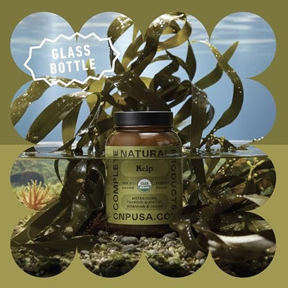 Complete Natural Products Bio-islandisches Seetang Kapseln – Reine 600 mg Kapseln, 100 Stück, Rohseetang & Schilddrüsenunterstützung
