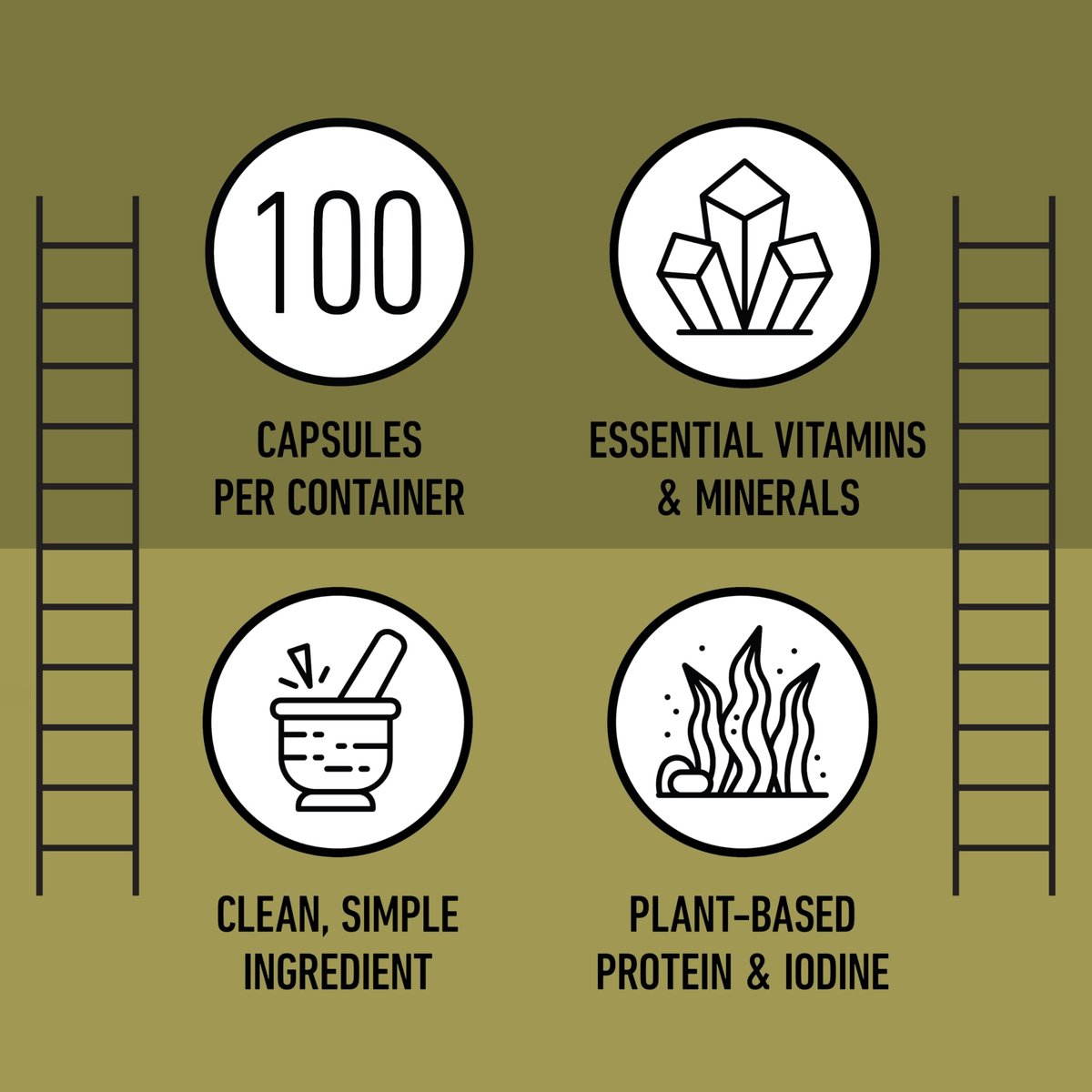 Complete Natural Products Bio-islandisches Seetang Kapseln – Reine 600 mg Kapseln, 100 Stück, Rohseetang & Schilddrüsenunterstützung