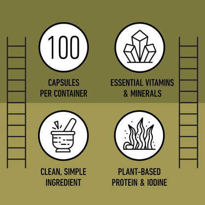 Complete Natural Products Bio-islandisches Seetang Kapseln – Reine 600 mg Kapseln, 100 Stück, Rohseetang & Schilddrüsenunterstützung