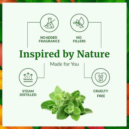 SVA Oregano Öl – 118 ml – 100% natürliches Oregano-Öl für Diffuser, Haarpflege, Gesicht, Hautpflege, Aromatherapie, Kopfhaut- und Körpermassage, Seifen- und Kerzenherstellung – mit Pipette