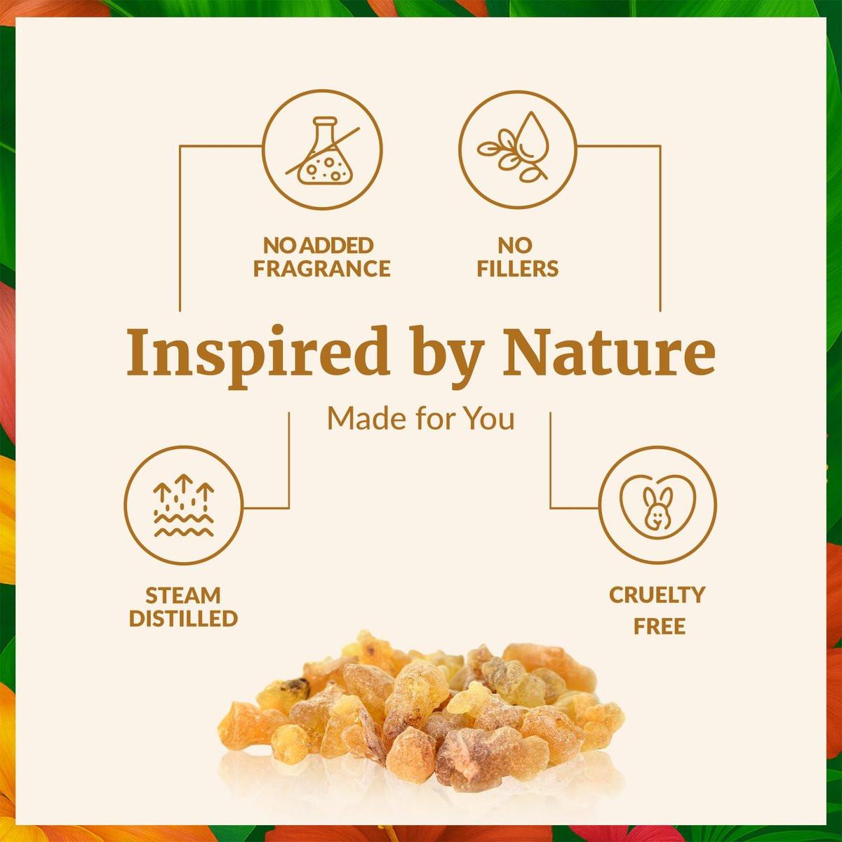 SVA Weihrauch ätherisches Öl – 118 ml – 100% natürliches Boswellia-Serrata-Öl – für Diffuser, Haarpflege, Gesicht, Hautpflege, Aromatherapie, Kopfhaut- und Körpermassage, Seifen- und Kerzenherstellung – mit Pipette