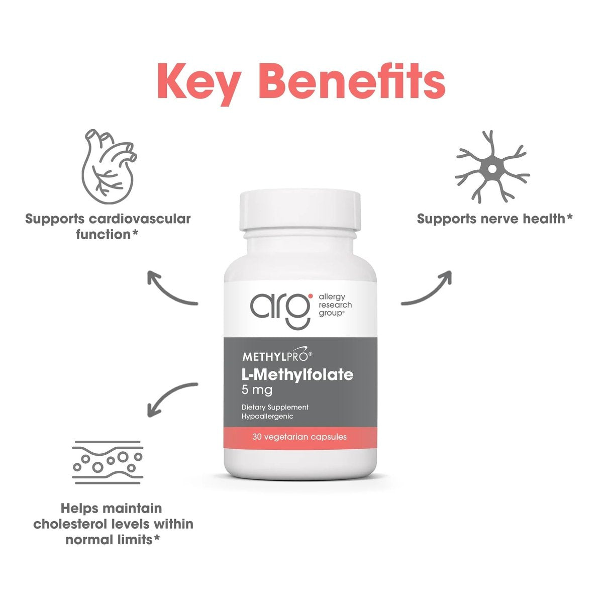 MethylPro L-Methylfolat 5 mg – L-Methylfolat, Methylfolat-Präparat für Frauen & Männer, methylierte Vitamin B9 (5-MTHF) für Gehirngesundheit, Fokus, Ruhe – 30 Kapseln (1 Packung)