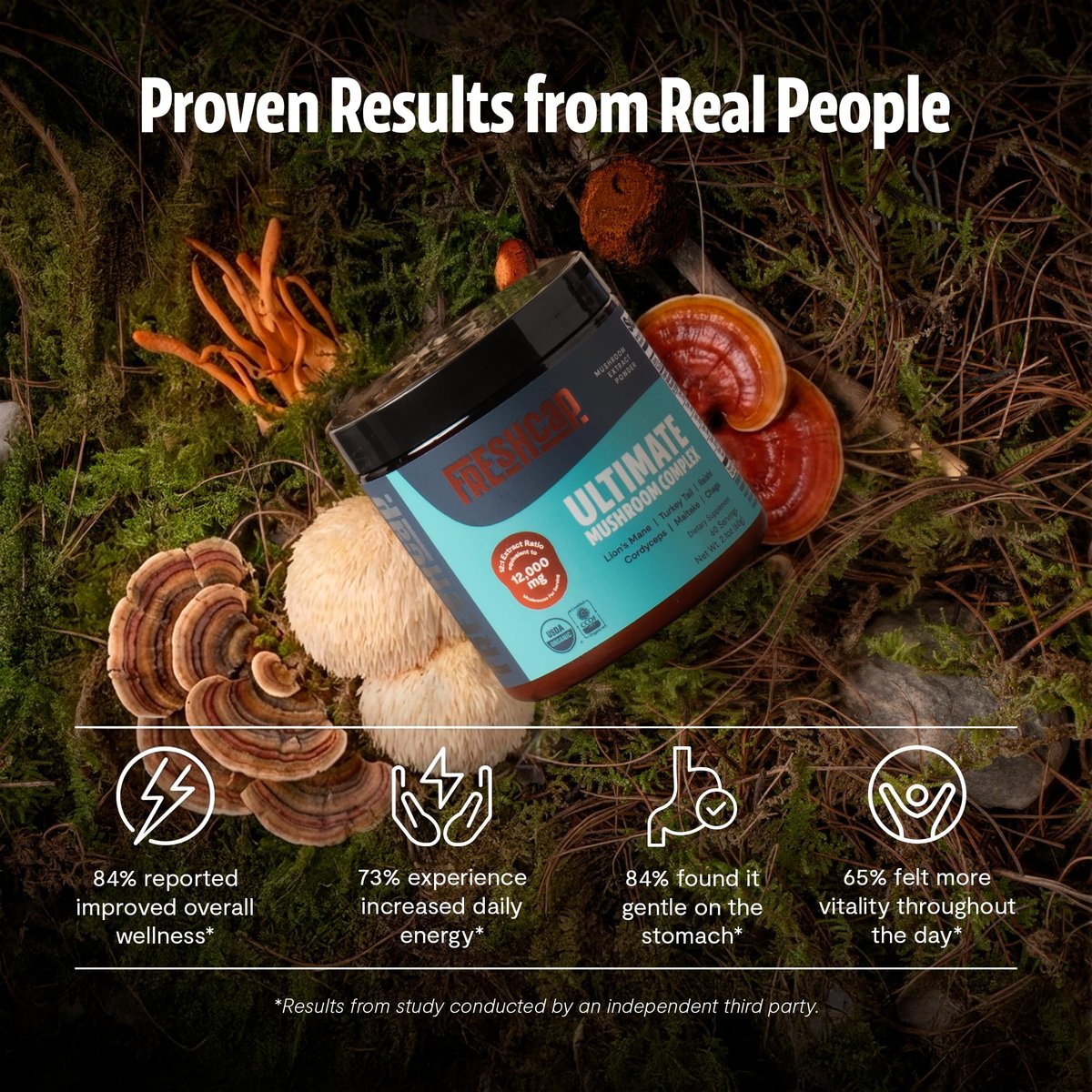 FreshCap Mushrooms Ultimate Mushroom Complex – 12:1 Pilzextrakt-Pulver mit 29% Beta-Glucanen, ayurvedische saubere Energie, Fokus & Immununterstützung (60 Portionen)
