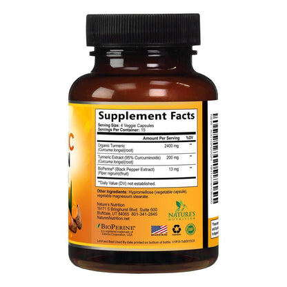 Bio Kurkuma Curcumin Kapseln mit BioPerine & 95% Curcuminoide - 2400mg pro Portion - Vegan - 60 Kapseln