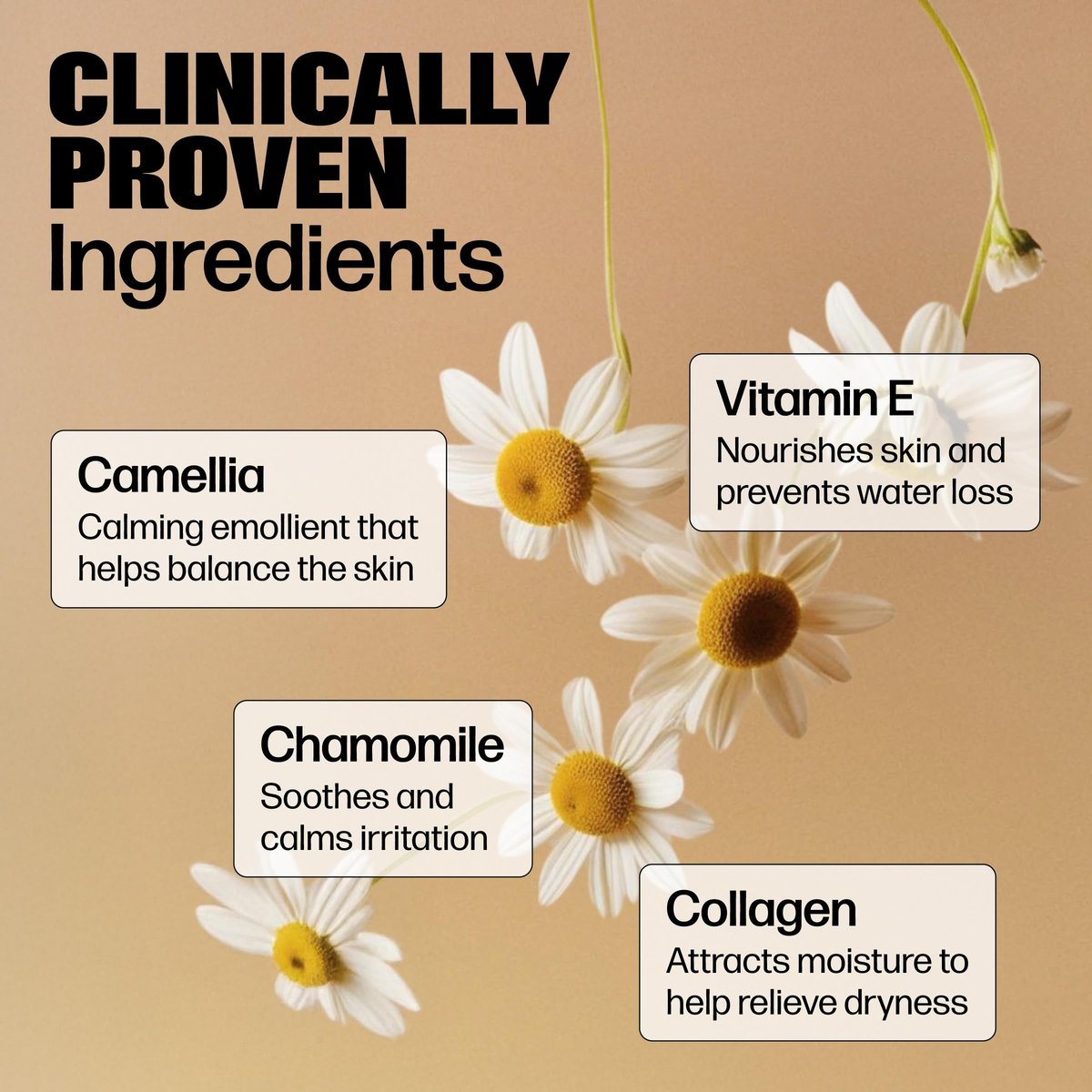 Medicine Mama's Apothecary Vmagic Sanfte Intimwaschlotion pH-ausgleichend zur Reinigung und Verjüngung der Intimhaut mit Kamille, Kollagen, Vitamin E und Salbei – Hormonfrei – 240 ml