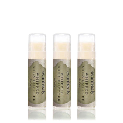 evanhealy Bio-Sheabutter für die Lippen (3er Pack) | Mit Bio-Himbeersamenöl, Bienenwachs & Arganöl | Feuchtigkeitsspendender Lippenbalsam