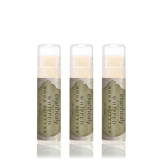 evanhealy Bio-Sheabutter für die Lippen (3er Pack) | Mit Bio-Himbeersamenöl, Bienenwachs & Arganöl | Feuchtigkeitsspendender Lippenbalsam