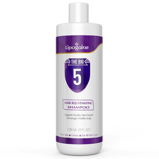 Lipogaine Big 5 Haarstimulierendes Shampoo gegen Haarausfall und Haarbruch – für alle Haartypen, Männer und Frauen – mit Biotin, Koffein, Arganöl, Rizinusöl und Sägepalme (Lila)
