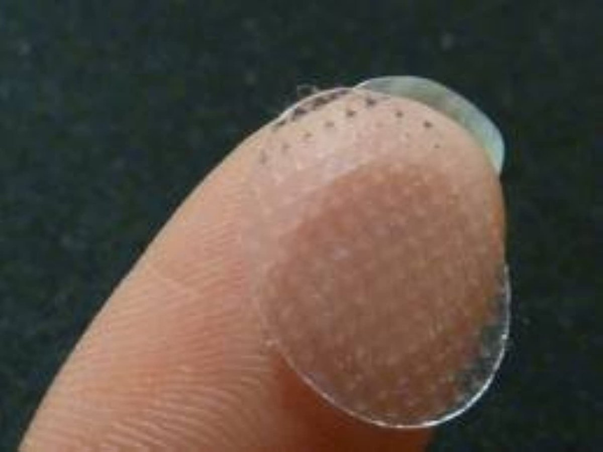 EarLite 240 (60 Stück x 4 Packungen) Unsichtbare Ohrpolster für Ohrringe, wasserdicht, im ZipLock-Beutel – Hergestellt in den USA
