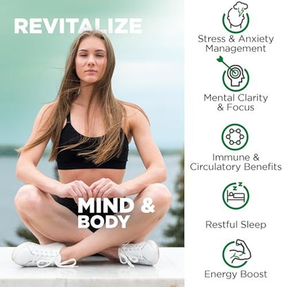 Nutrivein Ashwagandha für Männer & Frauen - 1600 mg - Mit Schwarzem Pfeffer - Hochabsorbierendes Wurzelpulver - Für Stimmungsbalance, Erholsamen Schlaf & Konzentration - 120 Vegane Kapseln