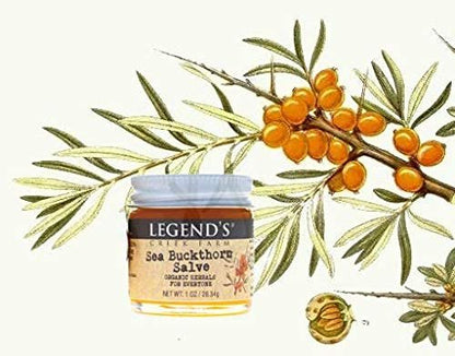 Legend's Creek Farm Kräutersalbe – Heilsalbe mit Sanddornöl & Johanniskraut – natürlicher Balsam für trockene Haut & Hautreizungen – 28g Handgemacht in den USA (Sanddorn)