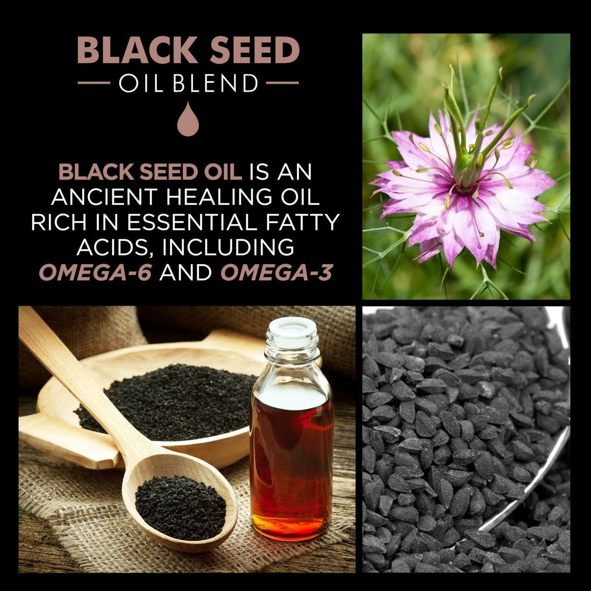 CHI Luxury Black Seed Oil Intense Repair Hot Oil Behandlung – Feuchtigkeitsspendend & stärkend für trockenes & geschädigtes Haar, sulfat-, paraben- & glutenfrei, 1,7 oz