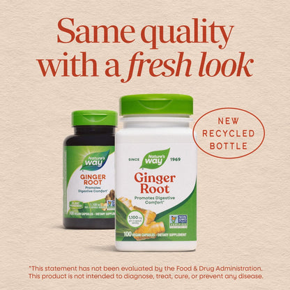 Nature's Way Ingwer Wurzel Kapseln, 1100 mg pro 2-Kapsel-Portion, Nahrungsergänzungsmittel für Verdauungskomfort und Reisekrankheit, Vegan, Non-GMO Project verifiziert, 240 Stück
