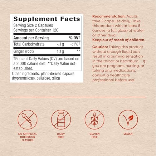 Nature's Way Ingwer Wurzel Kapseln, 1100 mg pro 2-Kapsel-Portion, Nahrungsergänzungsmittel für Verdauungskomfort und Reisekrankheit, Vegan, Non-GMO Project verifiziert, 240 Stück