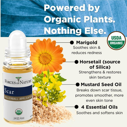 Forces Of Nature Narbenpflege Roll-On Bio 0,14 Fl Oz - Natürliche Narbenreduktion