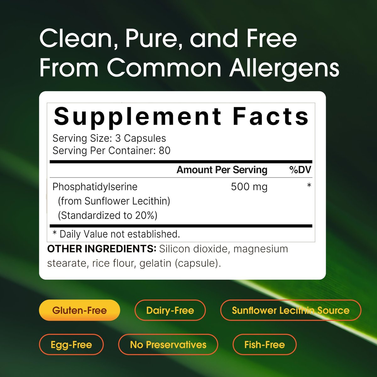 NatureBell Phosphatidylserin 500mg - 240 Kapseln - Gehirnunterstützung für Männer und Frauen* - Bioverfügbares Sonnenblumenlecithin - Leicht zu schlucken - Glutenfrei