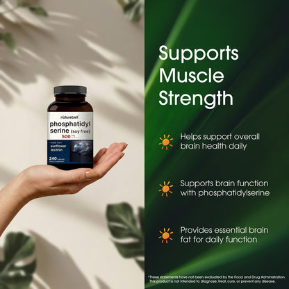 NatureBell Phosphatidylserin 500mg - 240 Kapseln - Gehirnunterstützung für Männer und Frauen* - Bioverfügbares Sonnenblumenlecithin - Leicht zu schlucken - Glutenfrei