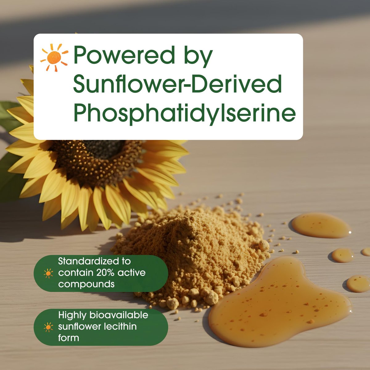 NatureBell Phosphatidylserin 500mg - 240 Kapseln - Gehirnunterstützung für Männer und Frauen* - Bioverfügbares Sonnenblumenlecithin - Leicht zu schlucken - Glutenfrei