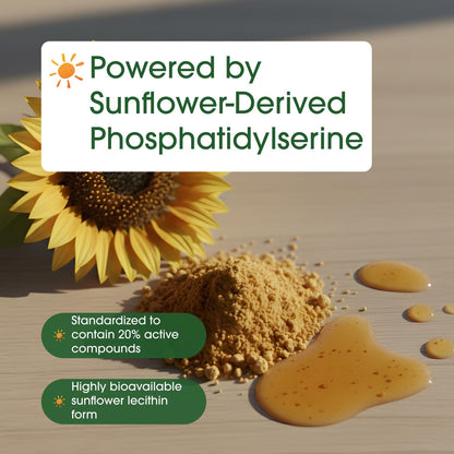 NatureBell Phosphatidylserin 500mg - 240 Kapseln - Gehirnunterstützung für Männer und Frauen* - Bioverfügbares Sonnenblumenlecithin - Leicht zu schlucken - Glutenfrei