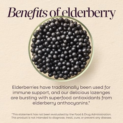 Nature's Way Sambucus Zink Lutschtabletten mit Holunder und Vitamin C, Honig-Zitrone-Geschmack, 24 Lutschtabletten