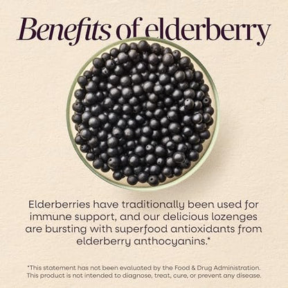 Nature's Way Sambucus Zink Lutschtabletten mit Holunder und Vitamin C, Honig-Zitrone-Geschmack, 24 Lutschtabletten