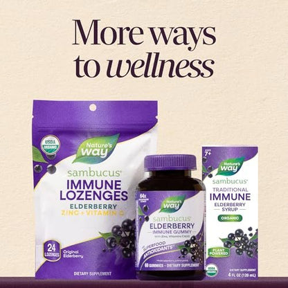 Nature's Way Sambucus Zink Lutschtabletten mit Holunder und Vitamin C, Honig-Zitrone-Geschmack, 24 Lutschtabletten