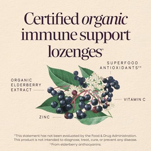 Nature's Way Sambucus Zink Lutschtabletten mit Holunder und Vitamin C, Honig-Zitrone-Geschmack, 24 Lutschtabletten